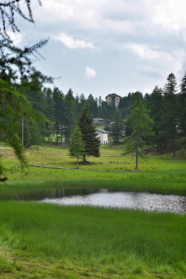 Albergo Casa Alpina San Luigi Campodolcino Zewnętrze zdjęcie